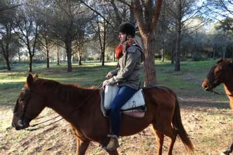 Horseback through the Pines